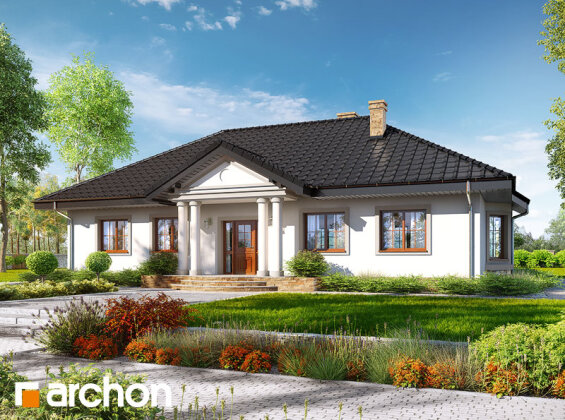 Проект дома Дом в гаурах 5