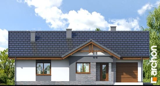Проект дома Дом в неринах вер.2 - 3 Одноэтажные дома в Украине