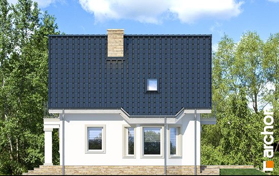 Проект дома Дом в винограде 2 (П) - 4 С мансардным этажом дома в Украине