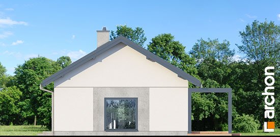 Проєкт будинку Будинок у вівсянниці 4 - Одноповерхові дома в Україні