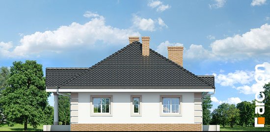 Проект дома Дом под красной рябиной 4 вер.2 - 4 Одноэтажные дома в Украине