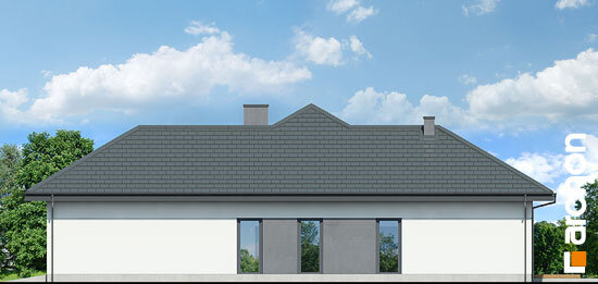 Проект дома Дом в подснежниках 4 (Г2) - 4 Одноэтажные дома в Украине