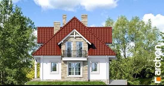 Проект дома Дом в каллах вер.2 - 5 С мансардным этажом дома в Украине