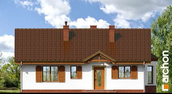 Проект дома Дом в ежевике 2 вер.2 - 3 Одноэтажные дома в Украине