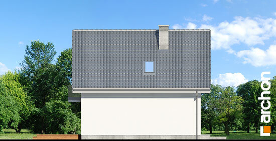 Проєкт будинку Будинок у винограді 7 - З мансардним поверхом дома в Україні