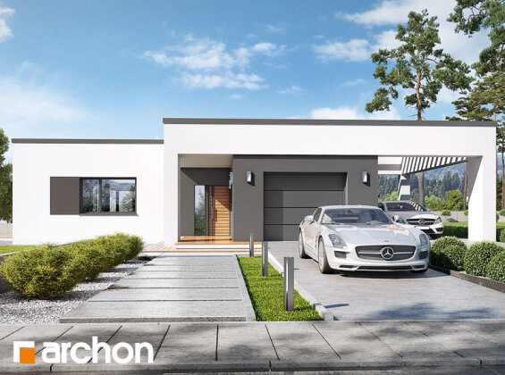 Проєкт будинку Будинок в матуканах