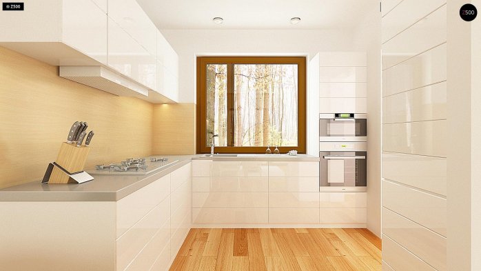 Проєкт будинку U262 - Одноповерхові дома в Україні