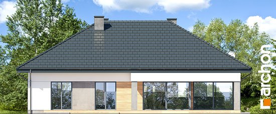 Проєкт будинку Будинок в підсніжниках 3 - Одноповерхові дома в Україні