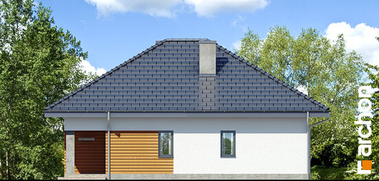 Проєкт будинку Будинок в бузку 2 (В) - Одноповерхові дома в Україні