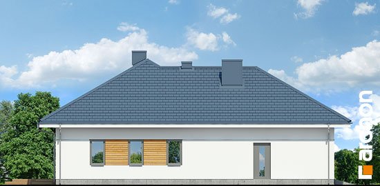 Проект дома Дом в бирюзе (Г2) - 5 Одноэтажные дома в Украине