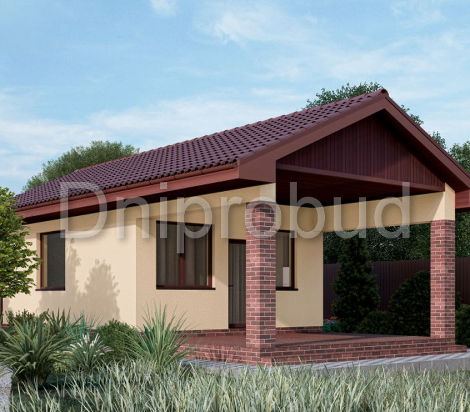 Современный одноэтажный дом в с. Белогородка