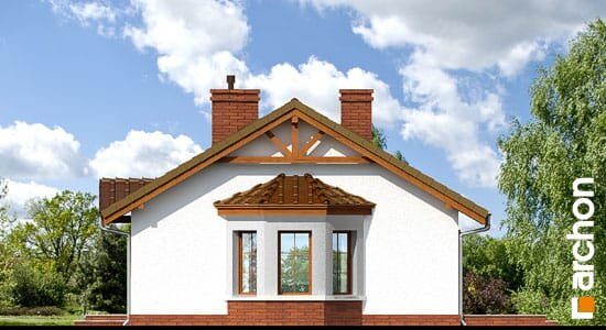 Проект дома Дом в ежевике 2 вер.2 - 4 Одноэтажные дома в Украине