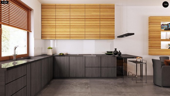 Проект дома U64 - 9 Одноэтажные дома в Украине