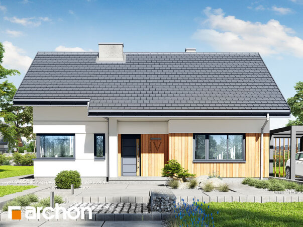 Проєкт будинку Будинок під липкою 2 - Одноповерхові дома в Україні
