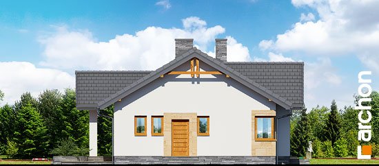 Проект дома Дом в лещиновнике 2 - 5 Одноэтажные дома в Украине