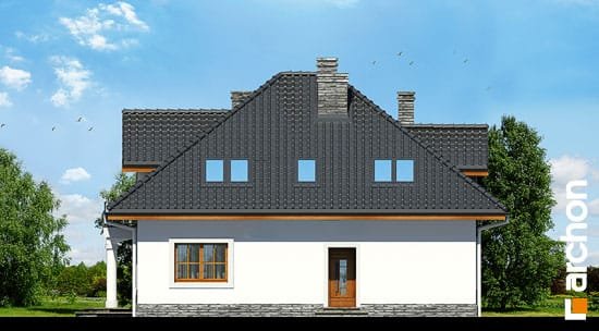 Проект дома Дом в тимьяне 9 - 4 С мансардным этажом дома в Украине