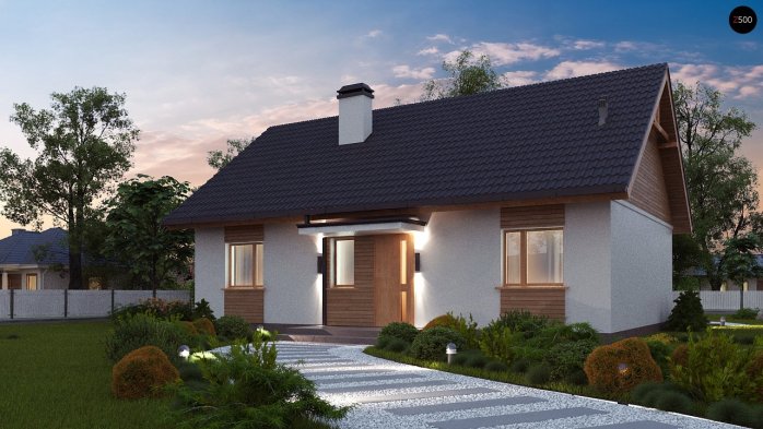 Проєкт будинку U313 - Одноповерхові дома в Україні
