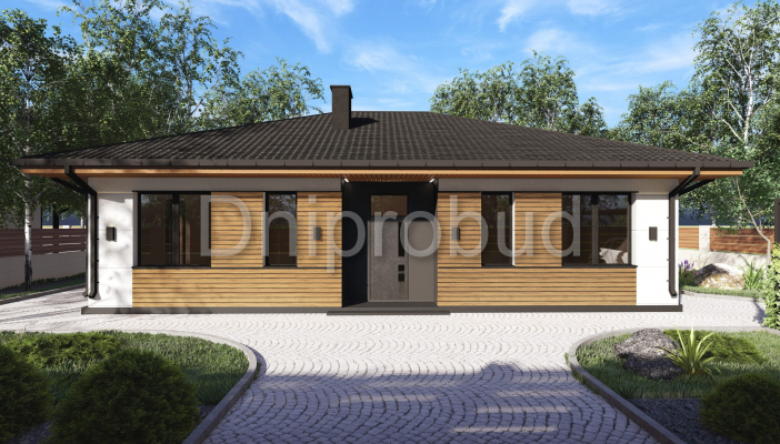 Одноповерховий будинок у с. Магдалинівка