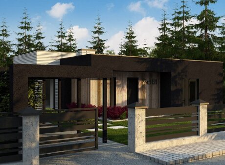 Проєкт будинку Ux161