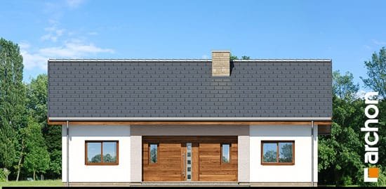 Проект дома Дом в овсянницах - 3 Одноэтажные дома в Украине