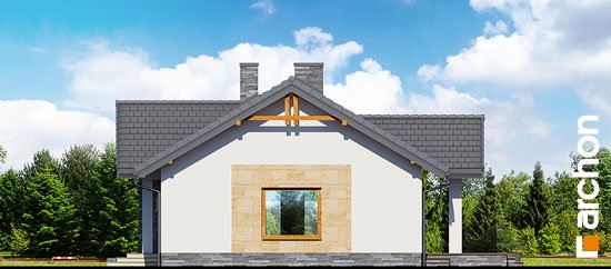 Проект дома Дом в лещиновнике 2 - 4 Одноэтажные дома в Украине