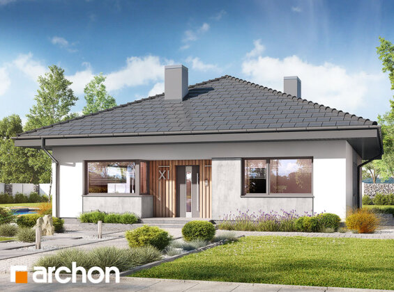 Проект дома Дом в хакетиях 6