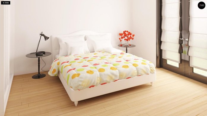 Проєкт будинку U209 - Одноповерхові дома в Україні