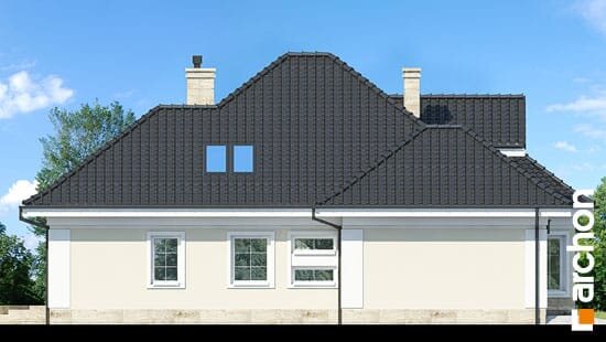 Проєкт будинку Будинок під юкою 4 - З мансардним поверхом дома в Україні