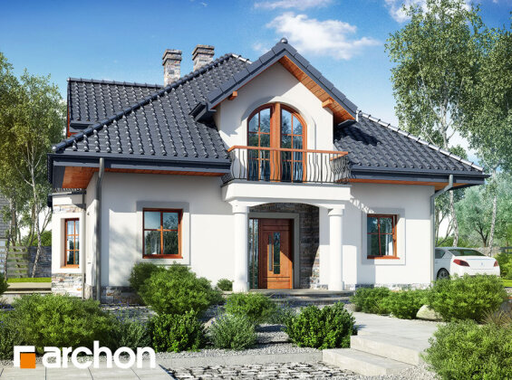 Проєкт будинку Будинок в тим'яні 10 (П)