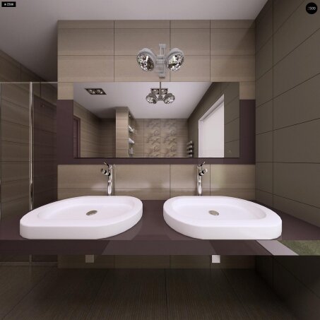 Проєкт будинку U196 - Одноповерхові дома в Україні