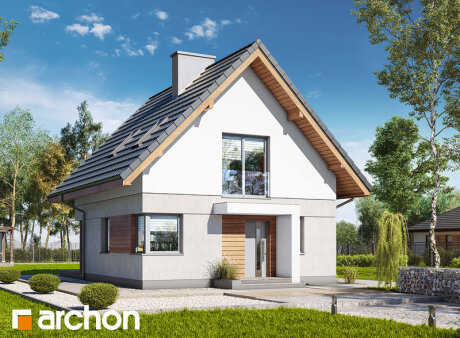 Проєкт будинку Будинок на пагорбі (Н)