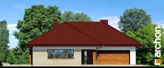 Проєкт будинку Будинок в бузку 2 (Г2) - Одноповерхові дома в Україні