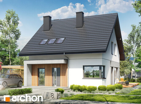 Проект дома Дом в крынках