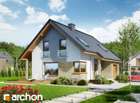 Проєкт будинку Будинок в журавках (П)