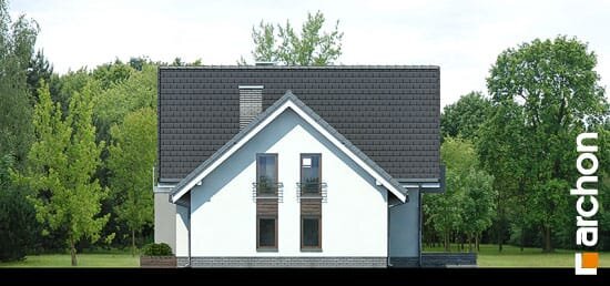 Проєкт будинку Будинок в рододендронах 5 (H) вер.2 - З мансардним поверхом дома в Україні