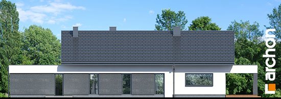 Проект дома Дом в пеперомиях 5 (Г2) - 6 Одноэтажные дома в Украине