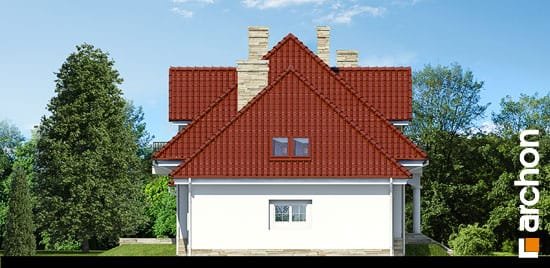 Проєкт будинку Будинок в каллах (Г2) вер.2 - З мансардним поверхом дома в Україні