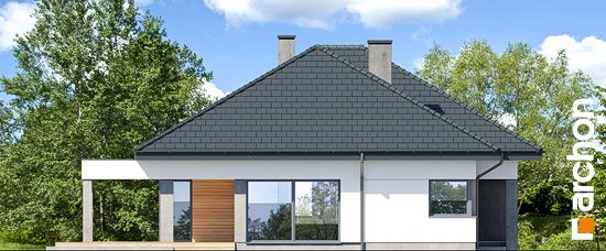 Проєкт будинку Будинок в підсніжниках 3 - Одноповерхові дома в Україні