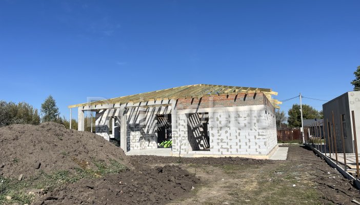 Одноповерховий будинок в с. Новоолександрівка (А)