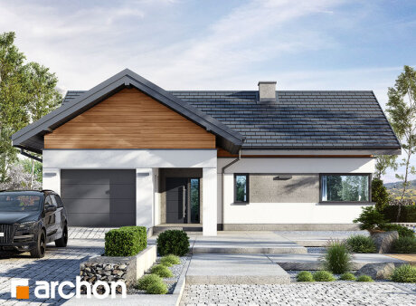 Проект дома Дом в цикории