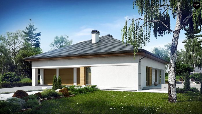 Проєкт будинку U51 - Одноповерхові дома в Україні