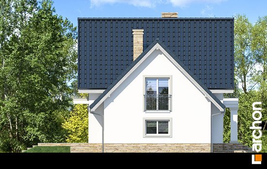 Проект дома Дом в винограде 2 (П) - 5 С мансардным этажом дома в Украине