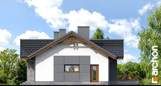 Проект дома Дом в неринах вер.2 - 4 Одноэтажные дома в Украине