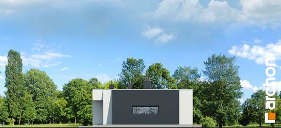 Проєкт будинку Будинок в пепероміях (Г2) - Одноповерхові дома в Україні