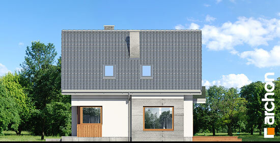 Проєкт будинку Будинок у винограді 7 - З мансардним поверхом дома в Україні