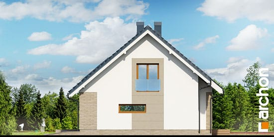 Проєкт будинку Будинок в герміні 2 - З мансардним поверхом дома в Україні