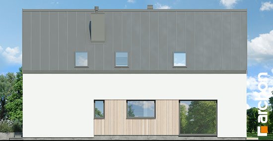 Проєкт будинку Будинок в папаверах - З мансардним поверхом дома в Україні