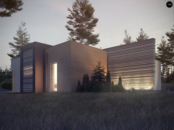 Проєкт будинку Ux65 + - Одноповерхові дома в Україні