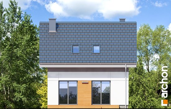 Проєкт будинку Будинок в аркадії - З мансардним поверхом дома в Україні