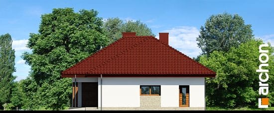 Проєкт будинку Будинок в бузку 2 (Г2) - Одноповерхові дома в Україні